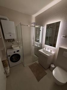 a bathroom with a shower toilet and a sink at Alpha in Bjelašnica +6 photos