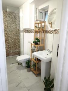 a bathroom with a sink and a toilet and a shower at Old Town Cozy Nest in Sibiu
