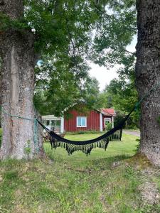 Fotografie z fotogalerie ubytování Drömtorp med egen brygga v destinaci Östhammar + 60 fotografií