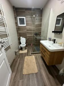 Koupelna v ubytování Sekulic Apartman Tara