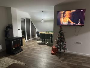 TV a/nebo společenská místnost v ubytování Sekulic Apartman Tara + 7 fotografií