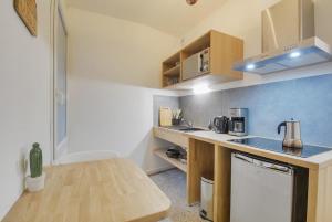 a small kitchen with a sink and a counter at Apartment Place Stanislas 3 in Nancy +6 photos