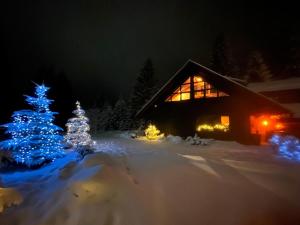 ein Weihnachtsbaum und ein Haus mit Lichtern im Schnee in der Unterkunft apartmány V Lese in Bedřichov + 74 Fotos