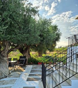 a staircase with a tree and a table and chairs at Ermioni Gialova in Gialova +8 photos