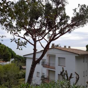 a tree in front of a white building at Charming apartment in Calella de palafrugell in Palafrugell