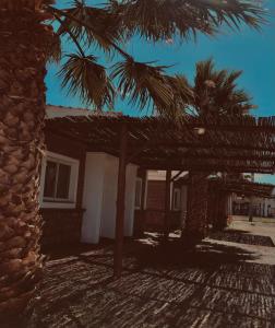 a building with a palm tree in front of it at Hotel Valle Colorado in Villa Unión +52 photos