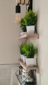 Η κουζίνα ή μικρή κουζίνα στο M&G comfort home
