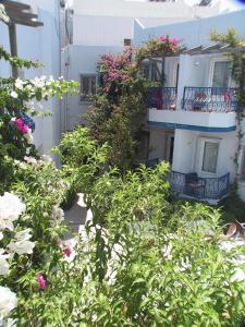 Zahrada ubytování Serhan Hotel