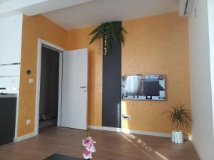 TV a/nebo společenská místnost v ubytování Gold Apartman