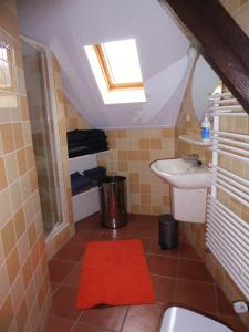 a bathroom with a toilet and a sink at Logeren bij de Ruimte in Nijeholtpade