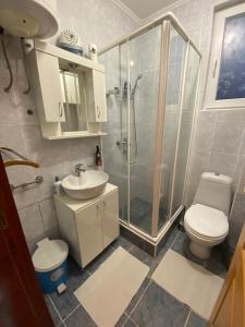 Koupelna v ubytování Apartmani Krčmarica 10