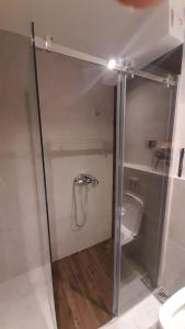 Vannituba majutusasutuses Apartman Milovan