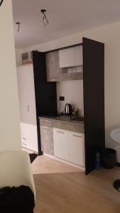 Köök või kööginurk majutusasutuses Apartman Milovan +8 fotot
