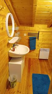 a bathroom with a sink and a mirror in a cabin at Chalet Les Hautes Cimes in Châtel