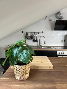 Kuchyň nebo kuchyňský kout v ubytování Moderne & stilvolle Wohnung klimatisiert - Messe & Flughafen München
