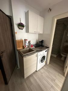 a kitchen with a sink and a washing machine at Karolina Apartment in Alba Iulia