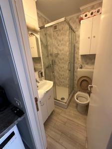 a small bathroom with a shower and a toilet at Karolina Apartment in Alba Iulia +49 photos