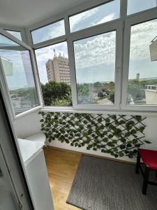 a room with a window with a plant on the wall at Karolina Apartment in Alba Iulia