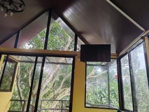 a room with windows and a view of the forest at Villa Los Colibrí 11 in Agua Blanca