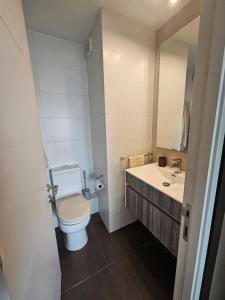 a bathroom with a toilet and a sink at Apartamento en Viña del Mar excelente ubicación in Viña del Mar