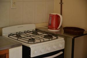 a kitchen stove with a red pitcher on top of it at Departamentos temporarios La Nueva Costanera in Posadas