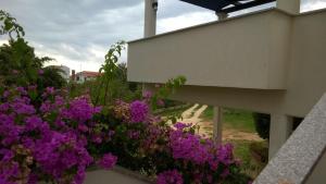 Κήπος έξω από το Apartment Silva free wifi free parking