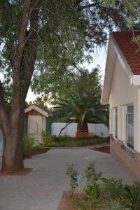 a house with a tree next to a driveway at Blue Crane Guest House Bloemfontein in Bloemfontein