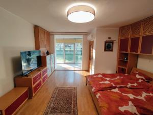 a bedroom with a bed and a television in a room at House IZI - parking, garden, 8 min ride to center in Maribor