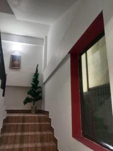 Foto sihtkohas Munnar asuva majutusasutuse The Green Regency Anex galeriist