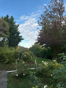Taman di luar Lillys Appartement 3 in 3430 Tulln