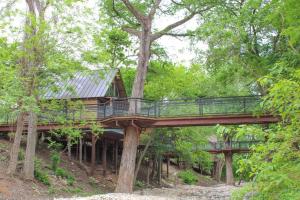 een boomhut met een brug in het bos bij Treehouse 3 - Mourning Dove Haus in New Braunfels