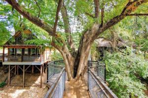 een grote boom voor een huis bij TH 4 - Whippoorwill Haus in New Braunfels