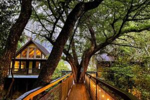 een huis op een houten loopbrug met een boom bij TH 4 - Whippoorwill Haus in New Braunfels