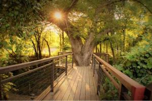 Nuotrauka iš apgyvendinimo įstaigos Treehouse 5 - Robins Roost mieste Niu Braunfelsas galerijos