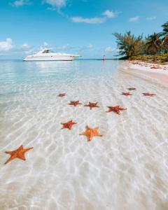 a group of stars on a beach with a boat at SUITE 2, BLUE PAVILION - Steps to BEACH in West Bay