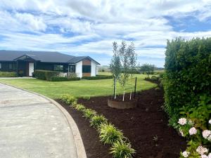 a house with a tree in front of a yard at Brooklyn Views in Feilding