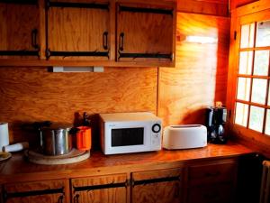 un bancone cucina con forno a microonde e tostapane di Chalet atypique près des pistes, 9 pers., sculptures uniques - FR-1-814-49 a Besse-et-Saint-Anastaise