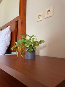 Φωτογραφία από το άλμπουμ του Fetung Bayan Homestay σε Senaru