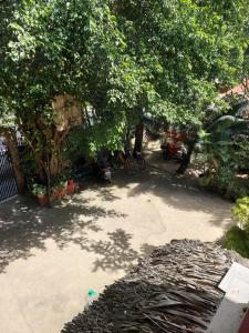 Zahrada ubytování Stevrena Accommodations
