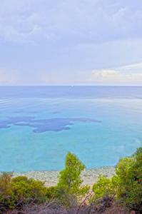 a view of the ocean from the top of a hill at Elia Apartments Sithonia in Elia