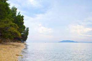 a view of a beach with trees and water at Elia Apartments Sithonia in Elia