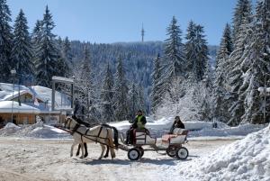 Hotel Prespa v zimě