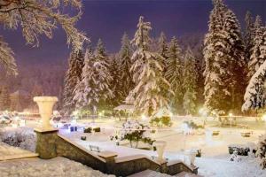 a park covered in snow with trees in the background at Family Residence Slănic-Moldova in Slănic-Moldova +13 photos