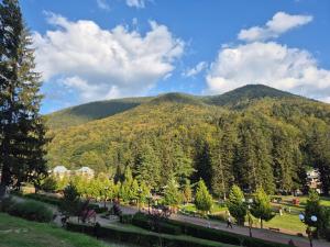 a park with trees and a mountain in the background at Family Residence Slănic-Moldova in Slănic-Moldova