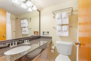 a bathroom with a sink and a toilet and a mirror at Comfort Inn University Center in Fairfax