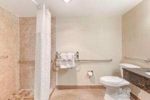 a bathroom with a toilet and a shower at Comfort Inn University Center in Fairfax