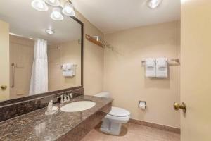 a bathroom with a sink and a toilet and a mirror at Comfort Inn University Center in Fairfax