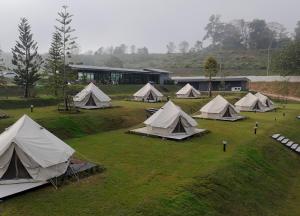 Příroda nedaleko luxury tent + 9 fotografií