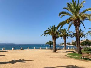 a park with palm trees and a bench on the beach at Front de mer Beau T3 climatisé Balcon Parking Ajaccio in Ajaccio