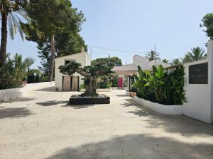 ein Bonsai-Baum, der mitten in einer Einfahrt sitzt in der Unterkunft La Casa Rosa de Finca Doña Carmen in Santomera